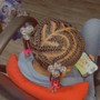 Kid's Braids Natural style (no weave)