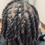 Loc Re-Twist (Palm Roll) 4-8 weeks Maintenance