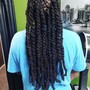 Havana Twists