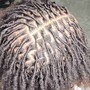 Loc Detox + Retwist