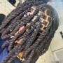 Loc /coil 2strand twist