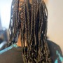 Large Rope/Senegalese Twists