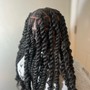 2 Strand Twists & Shampoo