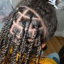 2 Strand Twists w/o Shampoo Service