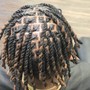 Butterfly Locs Mid-Back