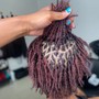 Root Touch Up