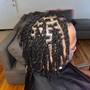 Starter Locs