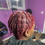 Starter locs