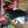 Bohemian knottless braids large miback