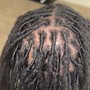 Starter locs