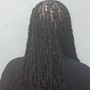 Senegalese Twist Smedium  Mid back