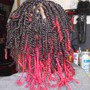 Box Braids medium Mid Back