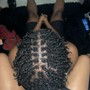 Two Strand Twists on Natural Hair