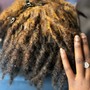 Loc Re-twist & Style