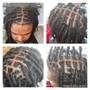 Retwist ( Locs )