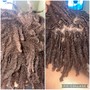 Retwist ( Locs )