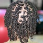 Plaits/Twists