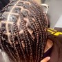 Goddess/Bohemian Braids/Twists