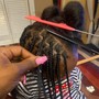 Feed-In Braids