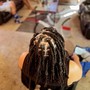 Short Butterfly Locs