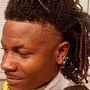 Dreadlocks Retwist