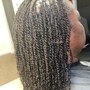 Micro/Mini Twists