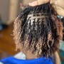 Micro Locs(w/o extensions)