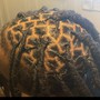 Starter locs