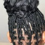 Poetic Justice Braids