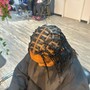 Wash, Retwist & Style