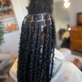 Natural Twists