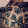 Kinky Twist