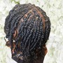 Starter Locs