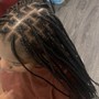 Starter locs two strand