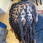 2-4 Strand Twist