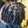 2-4 Strand Twist