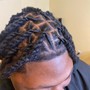 2-4 Strand Twist