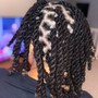 2-4 Strand Twist