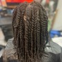 Braid Perimeter Refresh