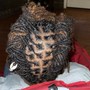 Adult Retwist