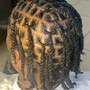 Loc Extensions (medium parts)