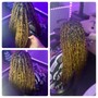 Medium Box/Knotless Braids