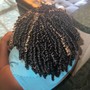 Flat Twists (Natural Hair)