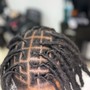 Two strand Starter Locs