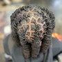 Starter Locs