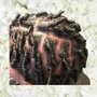 Starter Locs