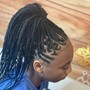 Braided Ponytail (Medium)