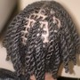 Plaits/Twists