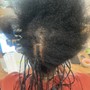 Long Box Braids with human Hair on tips