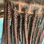 Jumbo Knotless Braids